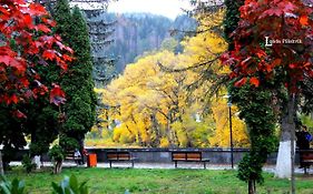 Apartament Sofia