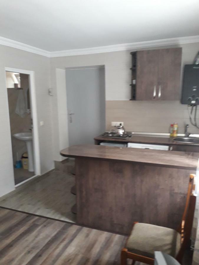 Апартаменти Apartament Sofia Боржомі Екстер'єр фото